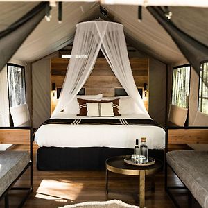 Paperbark Camp